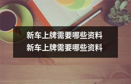 新车上牌需要哪些资料 新车上牌需要哪些资料