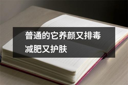 普通的它养颜又排毒 减肥又护肤