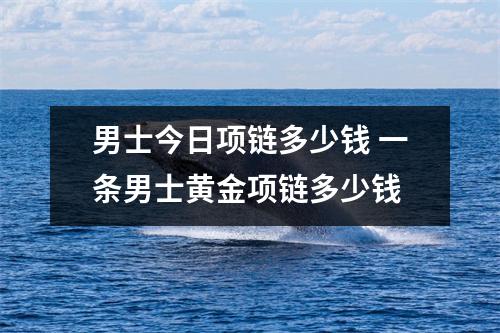 男士今日项链多少钱 一条男士黄金项链多少钱
