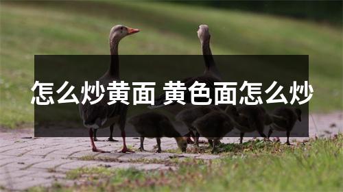 怎么炒黄面 黄色面怎么炒