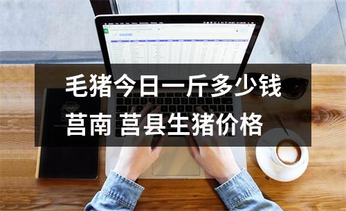 毛猪今日一斤多少钱莒南 莒县生猪价格