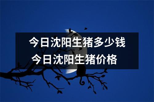 今日沈阳生猪多少钱 今日沈阳生猪价格
