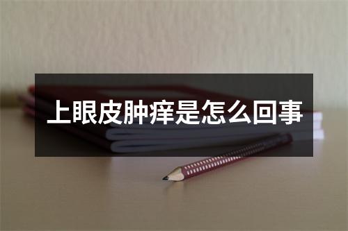 上眼皮肿痒是怎么回事