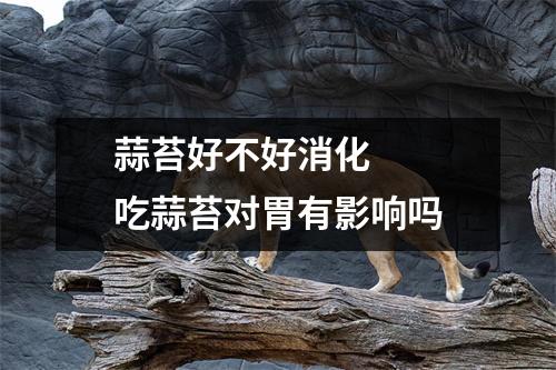 蒜苔好不好消化   吃蒜苔对胃有影响吗