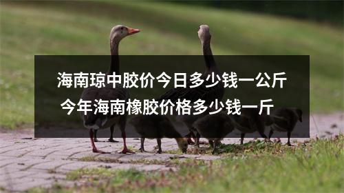 海南琼中胶价今日多少钱一公斤 今年海南橡胶价格多少钱一斤