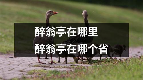 醉翁亭在哪里 醉翁亭在哪个省