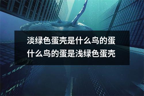 淡绿色蛋壳是什么鸟的蛋 什么鸟的蛋是浅绿色蛋壳