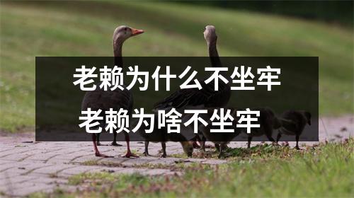 老赖为什么不坐牢 老赖为啥不坐牢