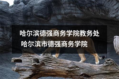 哈尔滨德强商务学院教务处 哈尔滨市德强商务学院