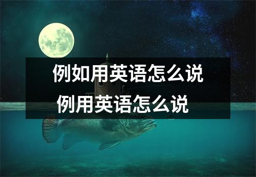 例如用英语怎么说 例用英语怎么说