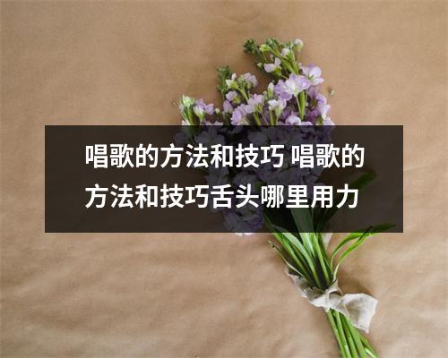 唱歌的方法和技巧 唱歌的方法和技巧舌头哪里用力