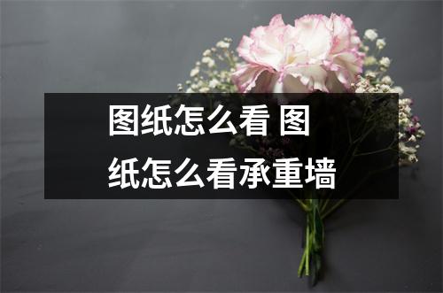 图纸怎么看 图纸怎么看承重墙