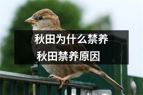 秋田为什么禁养 秋田禁养原因