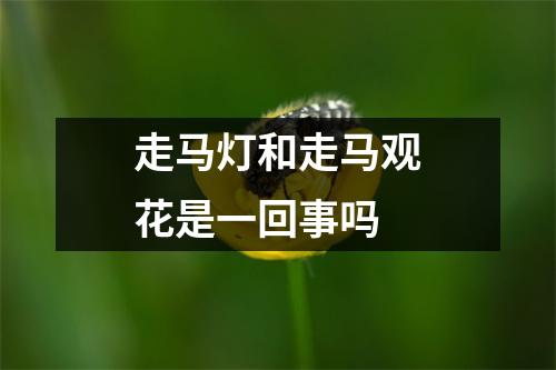 走马灯和走马观花是一回事吗