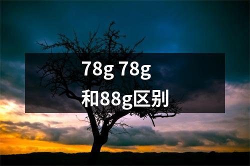 78g 78g和88g区别