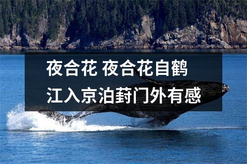 夜合花 夜合花自鹤江入京泊葑门外有感