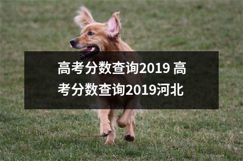 高考分数查询2019 高考分数查询2019河北