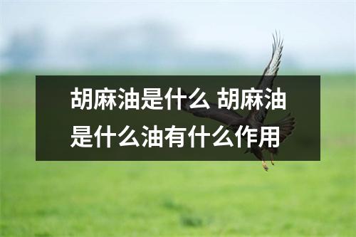 胡麻油是什么 胡麻油是什么油有什么作用