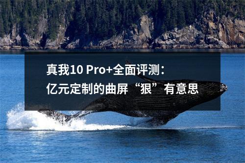 真我10 Pro+全面评测：亿元定制的曲屏“狠”有意思