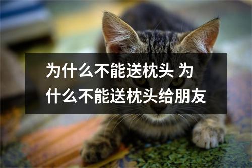 为什么不能送枕头 为什么不能送枕头给朋友