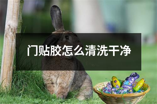 门贴胶怎么清洗干净