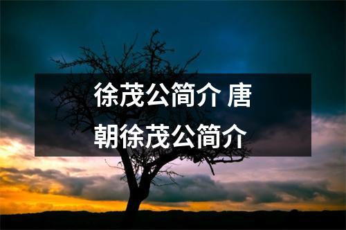 徐茂公简介 唐朝徐茂公简介