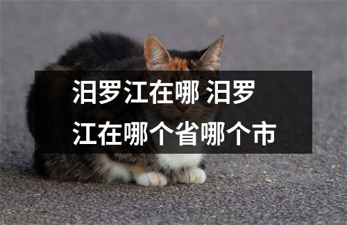 汨罗江在哪 汨罗江在哪个省哪个市