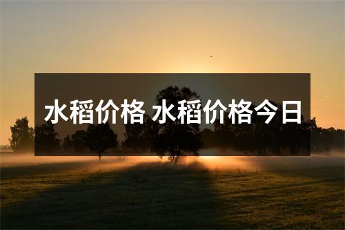 水稻价格 水稻价格今日