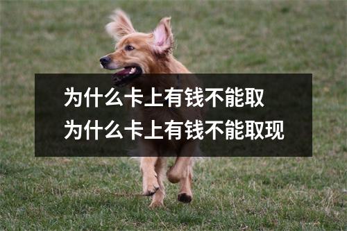 为什么卡上有钱不能取 为什么卡上有钱不能取现