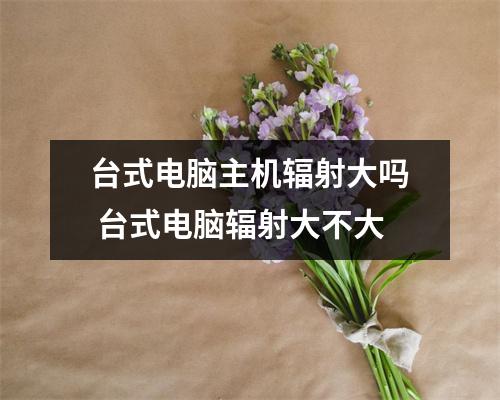 台式电脑主机辐射大吗 台式电脑辐射大不大