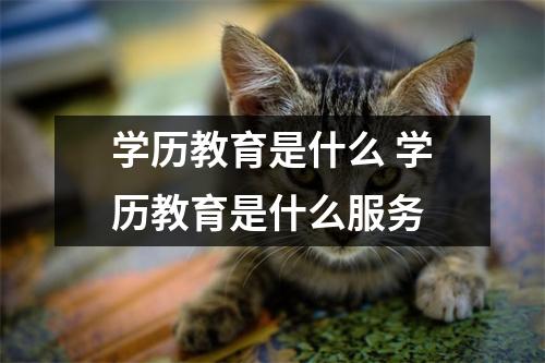 学历教育是什么 学历教育是什么服务