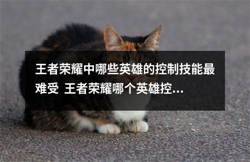 王者荣耀中哪些英雄的控制技能最难受  王者荣耀哪个英雄控制技能最多