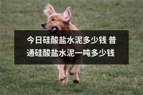 今日硅酸盐水泥多少钱 普通硅酸盐水泥一吨多少钱