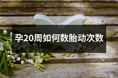 孕20周如何数胎动次数