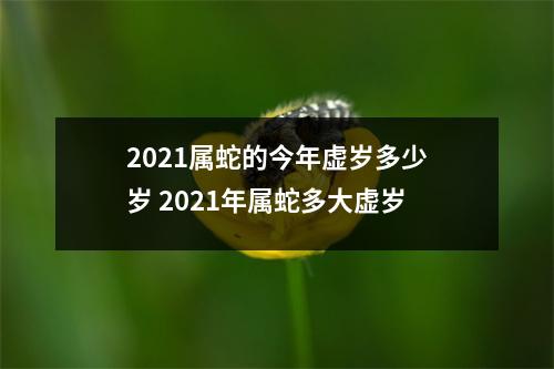 2021属蛇的今年虚岁多少岁 2021年属蛇多大虚岁