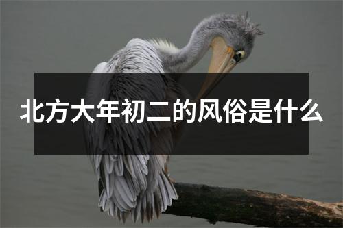 北方大年初二的风俗是什么
