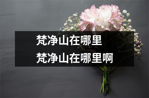 梵净山在哪里 梵净山在哪里啊