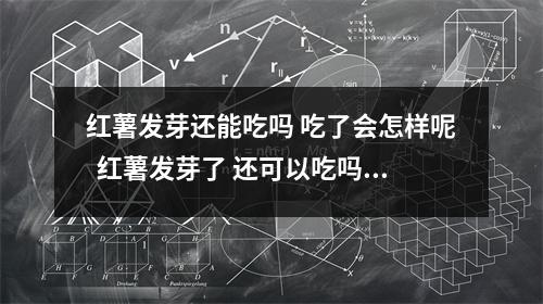 红薯发芽还能吃吗 吃了会怎样呢 红薯发芽了 还可以吃吗 红薯发芽还能吃吗 吃了会怎样呢 红薯发芽了 还可以吃吗