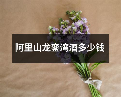阿里山龙銮湾酒多少钱