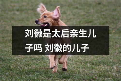 刘徽是太后亲生儿子吗 刘徽的儿子