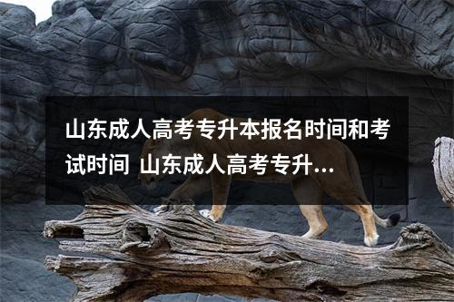 山东成人高考专升本报名时间和考试时间  山东成人高考专升本报名时间和考试时间安排