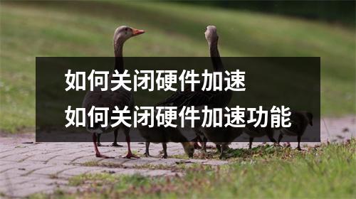 如何关闭硬件加速  如何关闭硬件加速功能