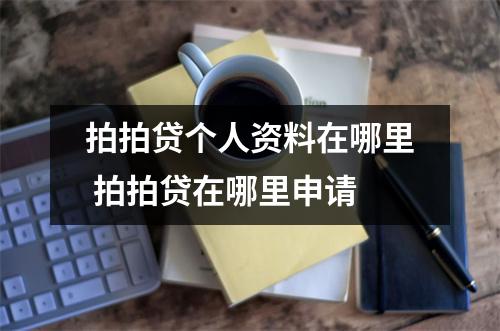 拍拍贷个人资料在哪里 拍拍贷在哪里申请