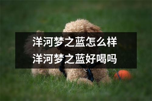 洋河梦之蓝怎么样 洋河梦之蓝好喝吗