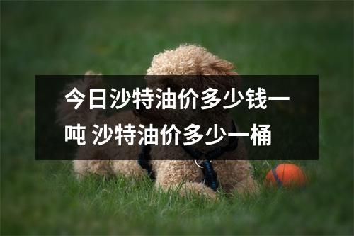 今日沙特油价多少钱一吨 沙特油价多少一桶