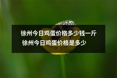 徐州今日鸡蛋价格多少钱一斤 徐州今日鸡蛋价格是多少