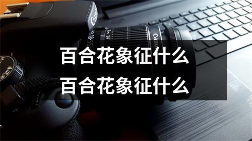 百合花象征什么 百合花象征什么