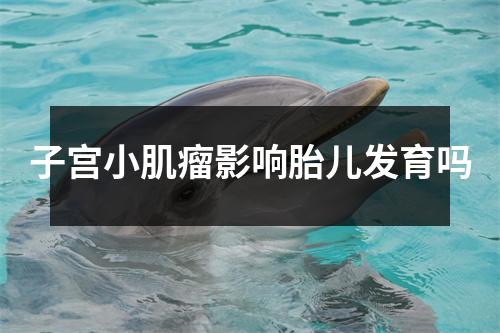 子宫小肌瘤影响胎儿发育吗