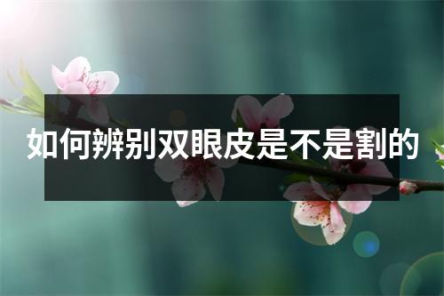 如何辨别双眼皮是不是割的