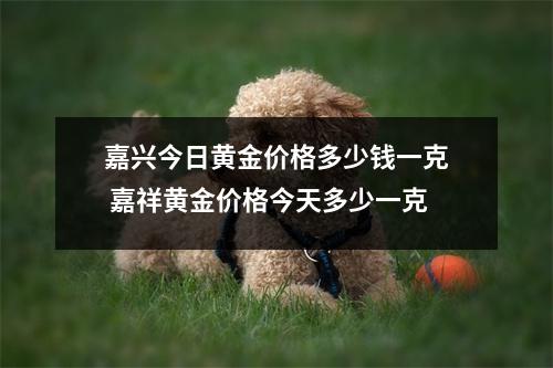嘉兴今日黄金价格多少钱一克 嘉祥黄金价格今天多少一克